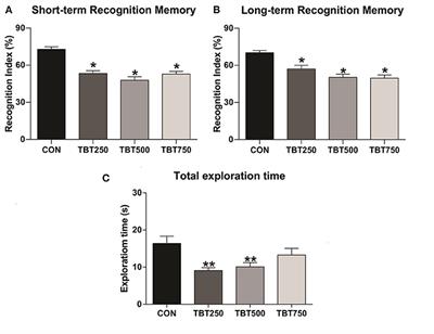 Tributyltin Exposure Is Associated With Recognition Memory Impairments, Alterations in Estrogen Receptor α Protein Levels, and Oxidative Stress in the Brain of Female Mice
